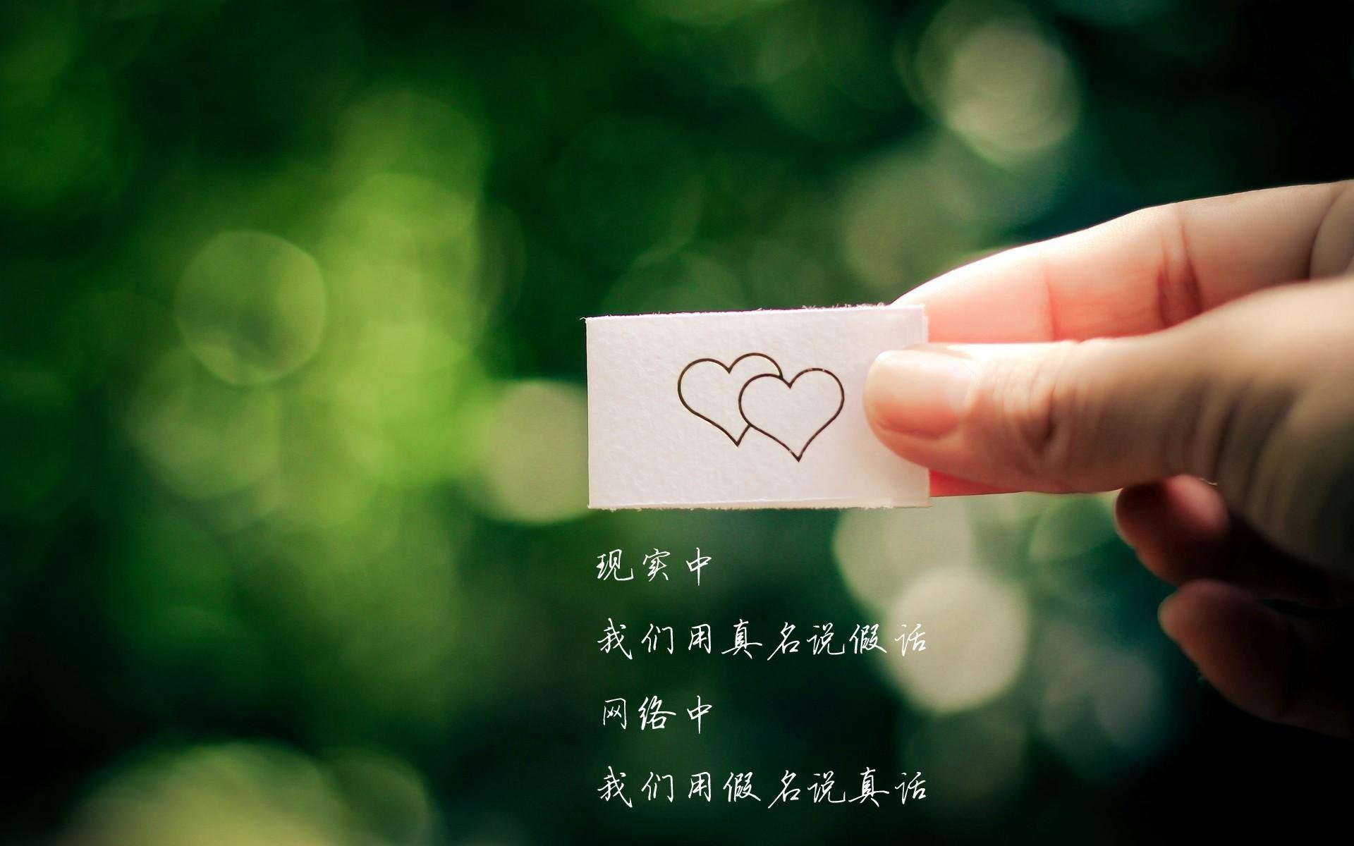 世界帆船赛事海上救援联动演练录像教材上线，帆船救生衣